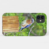 Bluebird on a fence Post Case-Mate iPhoneケース (裏面(横))
