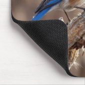 Bluebird on a Milkweed Pod マウスパッド (コーナー)