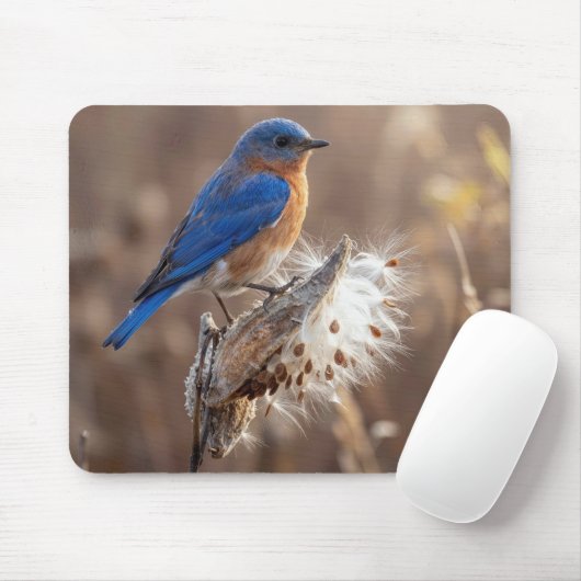 Bluebird on a Milkweed Pod マウスパッド (マウス)