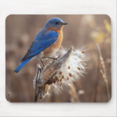 Bluebird on a Milkweed Pod マウスパッド (正面)