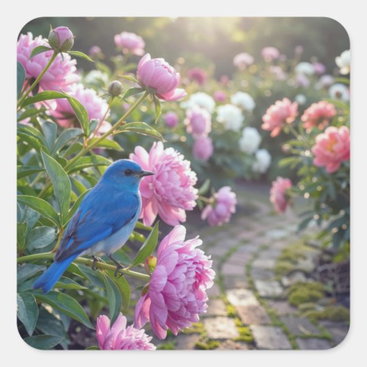 Bluebird On a Pink Peony スクエアシール (正面)