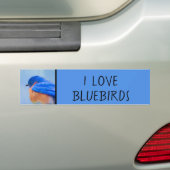 Bluebird Painting - Original Bird Art バンパーステッカー (車上)