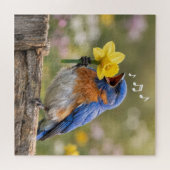 Bluebird Singing Into a Yellow Daffodil ジグソーパズル (横)