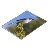Bluebird Tree Branch (my photography) ノートブック (左側)