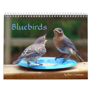 Bluebirdsカレンダー カレンダー