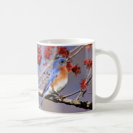Bluebirds Coffee Mug III by BirdingCollectibles コーヒーマグカップ (右)