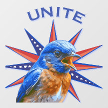 Bluebirds UNITEウィンドウ（前面の接着剤）