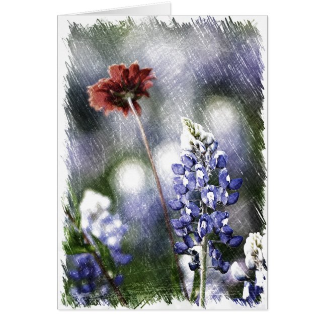 Bluebonnetのスケッチ (正面)