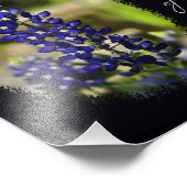 Bluebonnet「テキサス州、私のハートの家」プリント フォトプリント (角)