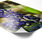 Bluebonnet「ハッピーバースデー」フォトプリント フォトプリント (角)