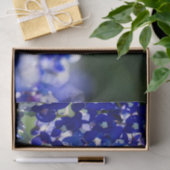 Bluebonnet 薄葉紙 (ギフト)