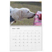 Bluebonnet 2018のカレンダーの犬 カレンダー (3月 2027)