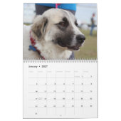 Bluebonnet 2018のカレンダーの犬 カレンダー (1月 2027)