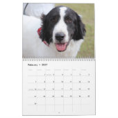 Bluebonnet 2018のカレンダーの犬 カレンダー (2月 2027)