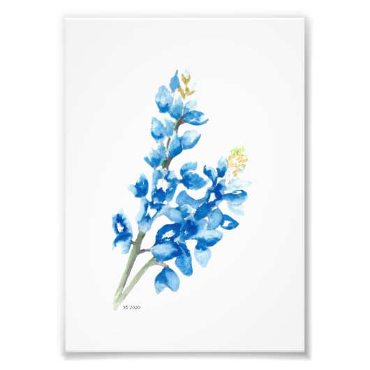 Bluebonnet 4フォトプリント フォトプリント            (正面)