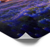 Bluebonnet Field at Sunset with Old Barn and Tree ポスター (角)