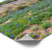"Bluebonnet Field, Austin, Texas ポスター (角)