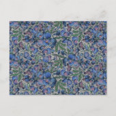Bluebonnet Postcard ポストカード (正面)