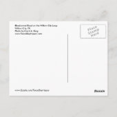 Bluebonnet Road, Willow City Loop, TX ポストカード (裏面)