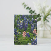 BluebonnetsとSnapdragons シーズンカード (スタンド正面)