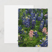 BluebonnetsとSnapdragons シーズンカード (正面/裏面)