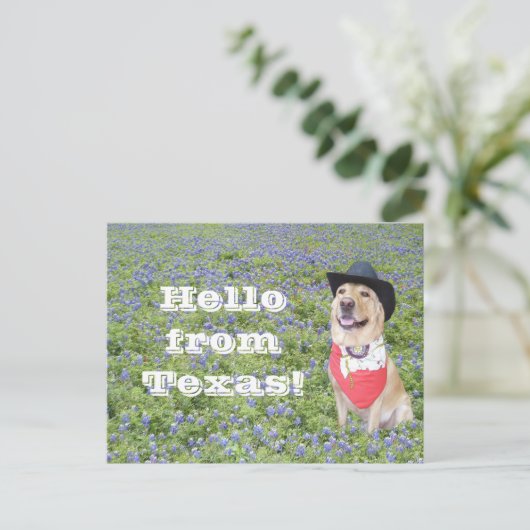 Bluebonnetsのモーセ ポストカード (スタンド正面)