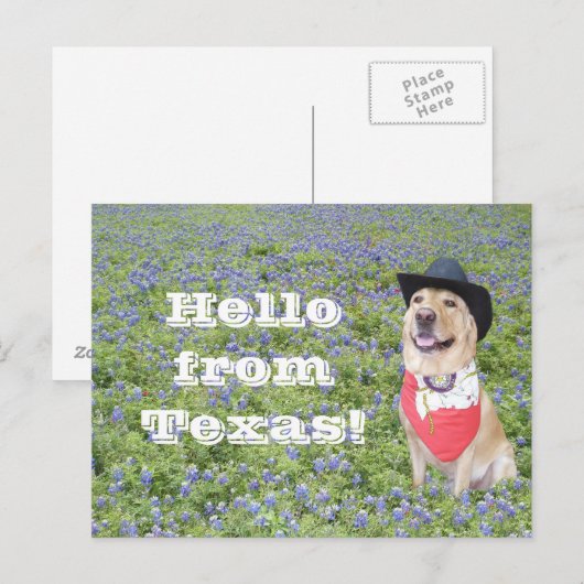 Bluebonnetsのモーセ ポストカード (正面/裏面)