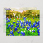 Bluebonnetsエレガント春日付の保存 案内ポストカード (正面/裏面)