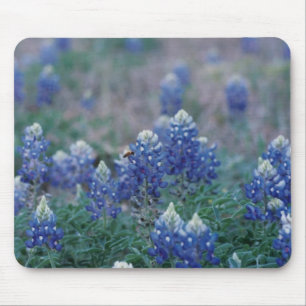 Bluebonnets マウスパッド