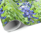 Bluebonnets ラッピングペーパー (ロールコーナー)