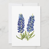 Bluebonnets Blue Floral Watercolor Texas Baby boy 招待状 (裏面)