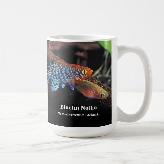 Bluefin notho , Nothobranchius rachovii コーヒーマグカップ (右)