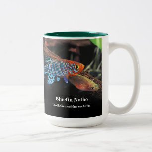 Bluefin notho , Nothobranchius rachovii ツートーンマグカップ