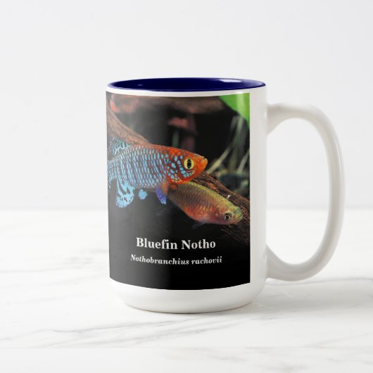 Bluefin notho , Nothobranchius rachovii ツートーンマグカップ (右)
