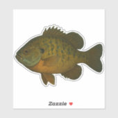 Bluegill Cut-out Sticker シール (シート)