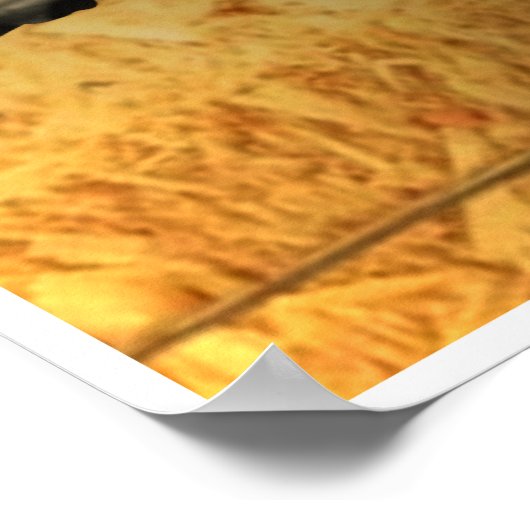 Bluegrass Instruments Poster ポスター (角)