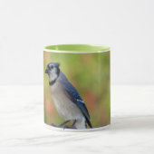 BlueJayかわいらし Mug - Backyard Birds マグカップ (中央)