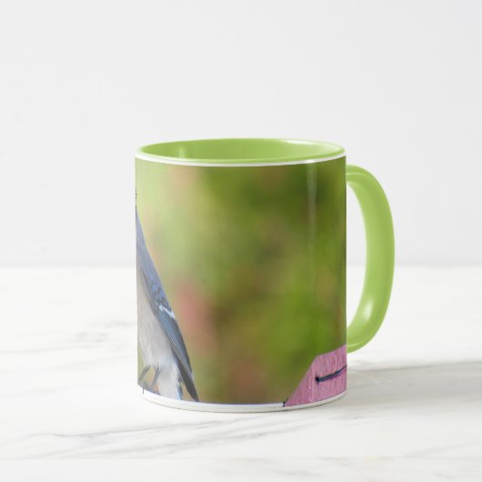 BlueJayかわいらし Mug - Backyard Birds マグカップ (正面右)