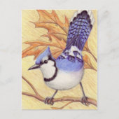 Bluejayはがき ポストカード (正面)