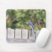 Bluejayオンフェンス マウスパッド (マウス)