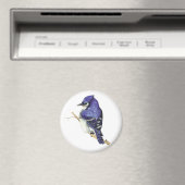 Bluejayマグネット マグネット (インサイチュ (食洗機))