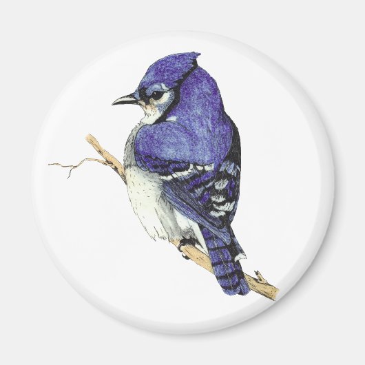 Bluejayマグネット マグネット (正面)