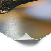 Bluejay フォトプリント (角)