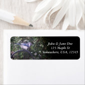 BlueJay 2 ラベル (インサイチュ)