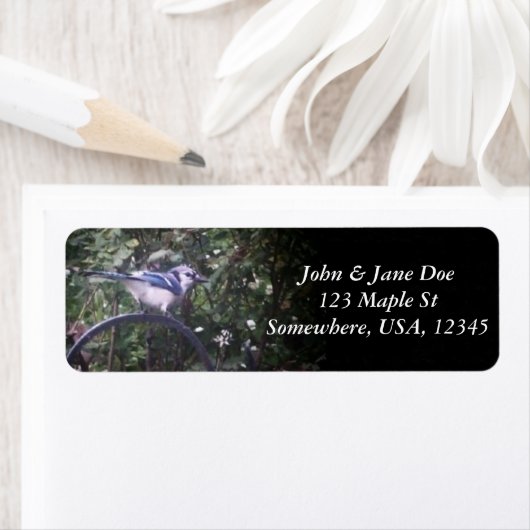 BlueJay 2 ラベル (インサイチュ)