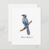 Bluejay bird flat noteカード サンキューカード (正面/裏面)