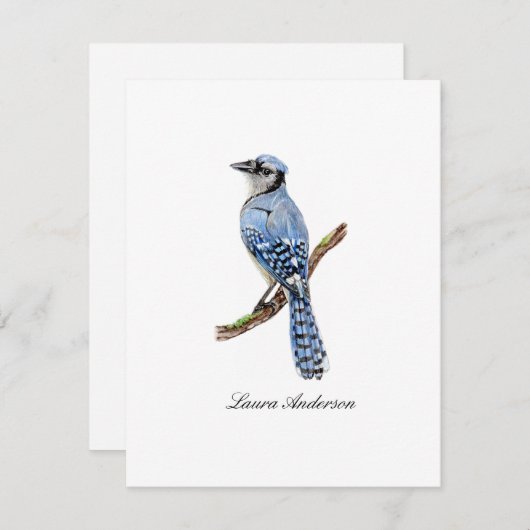 Bluejay bird flat noteカード サンキューカード (正面/裏面)