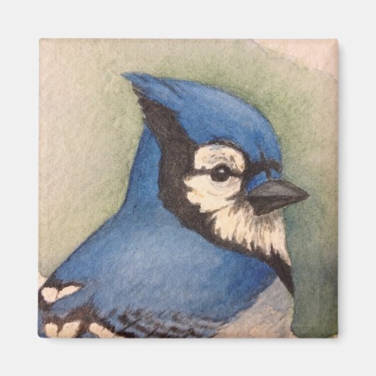 Bluejay bird magnet冷蔵庫用マグネットbird watcher マグネット (正面)