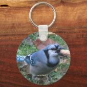 Bluejay Keychain by Koobear キーホルダー (正面)