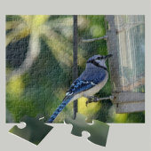 Bluejay Perched on Birdfeeder ジグソーパズル